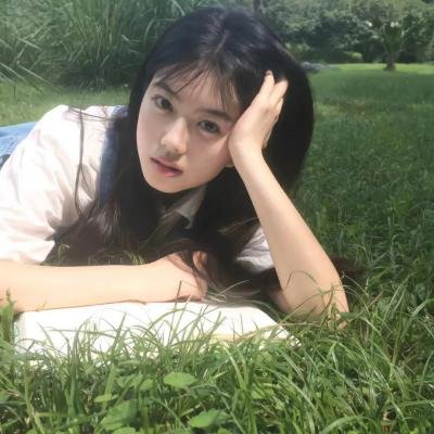 海豚的故事2